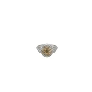 14K White Gold Yellow and White Diamond Ring